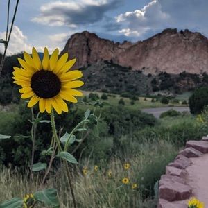 Meet your Posher, Maelynn